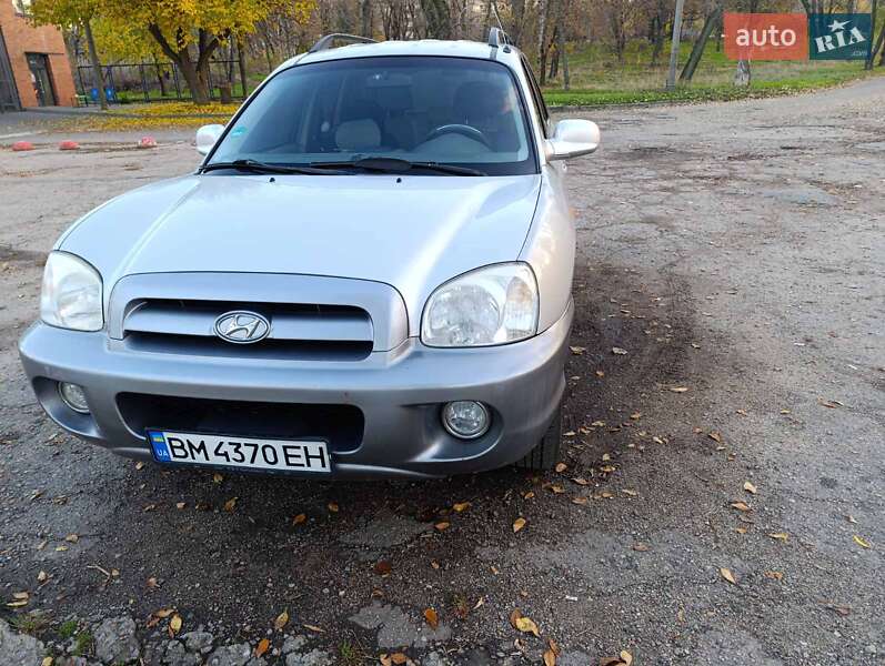 Позашляховик / Кросовер Hyundai Santa FE 2005 в Запоріжжі