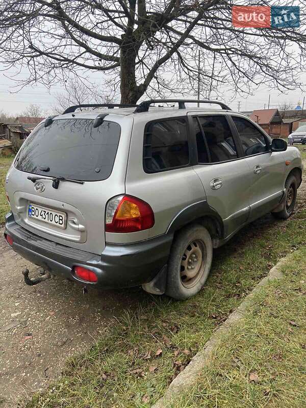 Внедорожник / Кроссовер Hyundai Santa FE 2001 в Бучаче