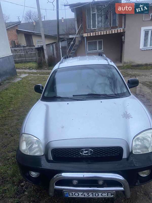 Внедорожник / Кроссовер Hyundai Santa FE 2001 в Бучаче