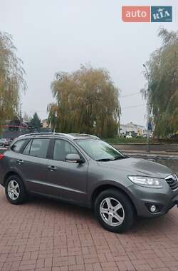 Позашляховик / Кросовер Hyundai Santa FE 2010 в Рівному