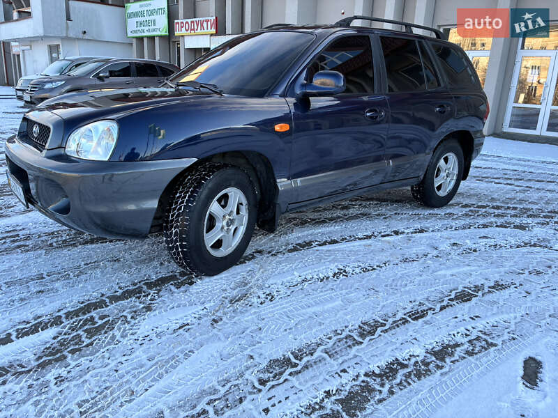 Внедорожник / Кроссовер Hyundai Santa FE 2004 в Дрогобыче