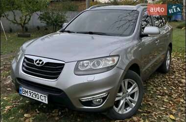 Внедорожник / Кроссовер Hyundai Santa FE 2010 в Конотопе