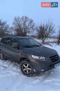 Внедорожник / Кроссовер Hyundai Santa FE 2006 в Киеве