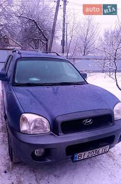 Внедорожник / Кроссовер Hyundai Santa FE 2003 в Вышгороде