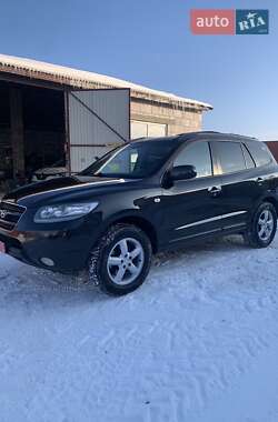 Внедорожник / Кроссовер Hyundai Santa FE 2008 в Луцке