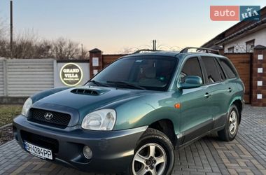 Внедорожник / Кроссовер Hyundai Santa FE 2002 в Николаеве
