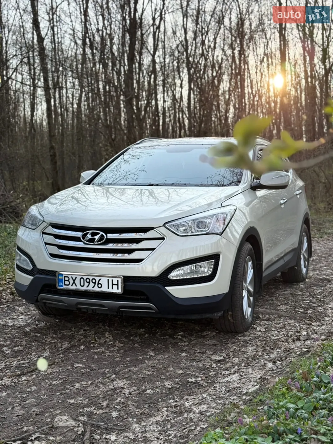 2014 Hyundai Santa Fe - мініатюра 2