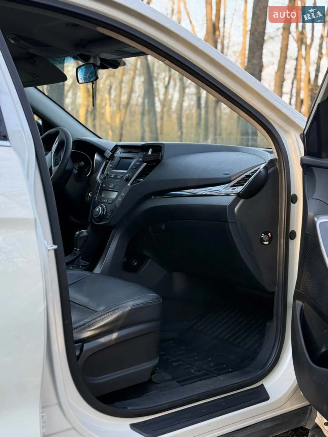 2014 Hyundai Santa Fe - мініатюра 17