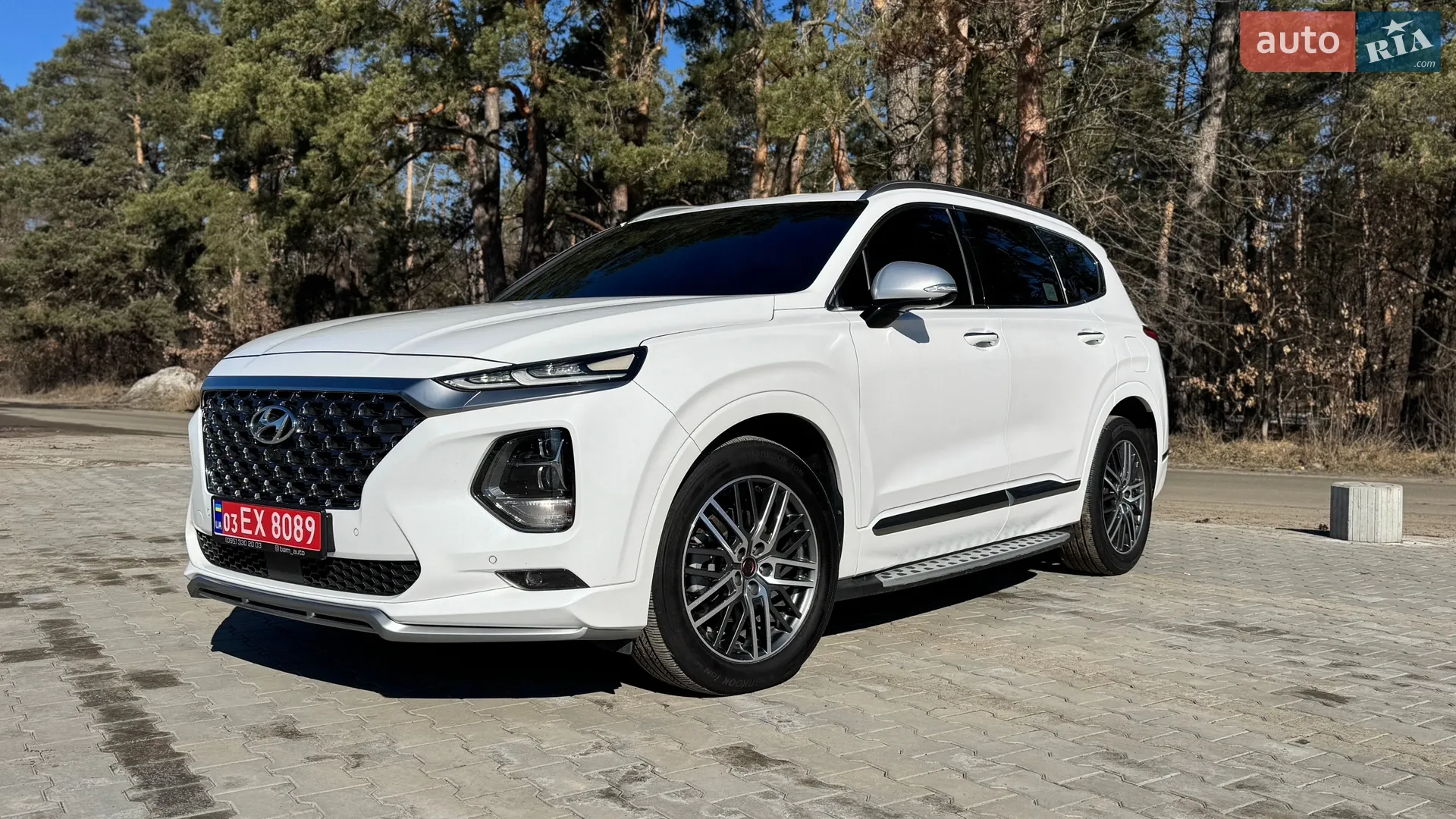 2019 Hyundai Santa Fe - мініатюра 3