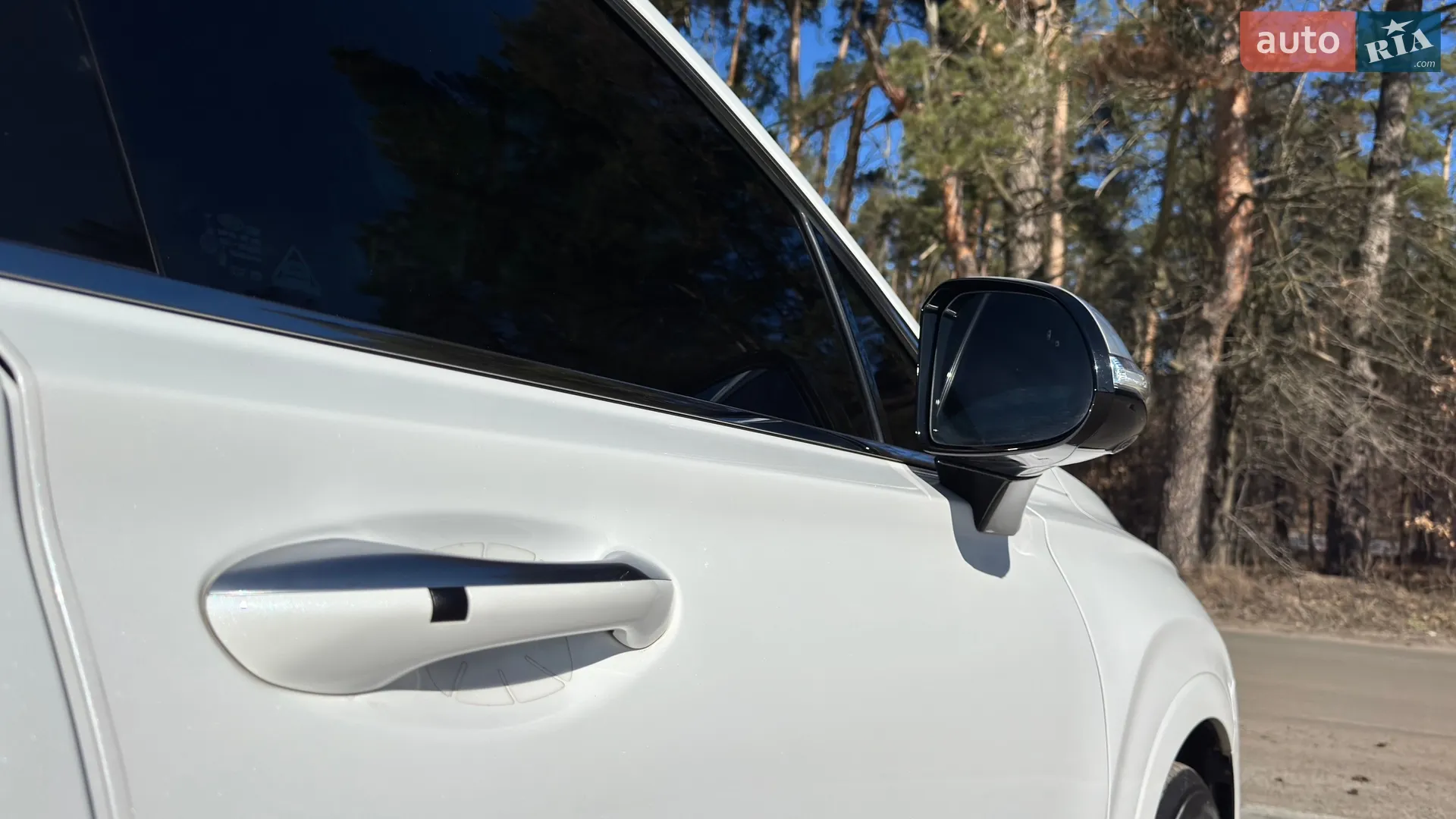 2019 Hyundai Santa Fe - мініатюра 11