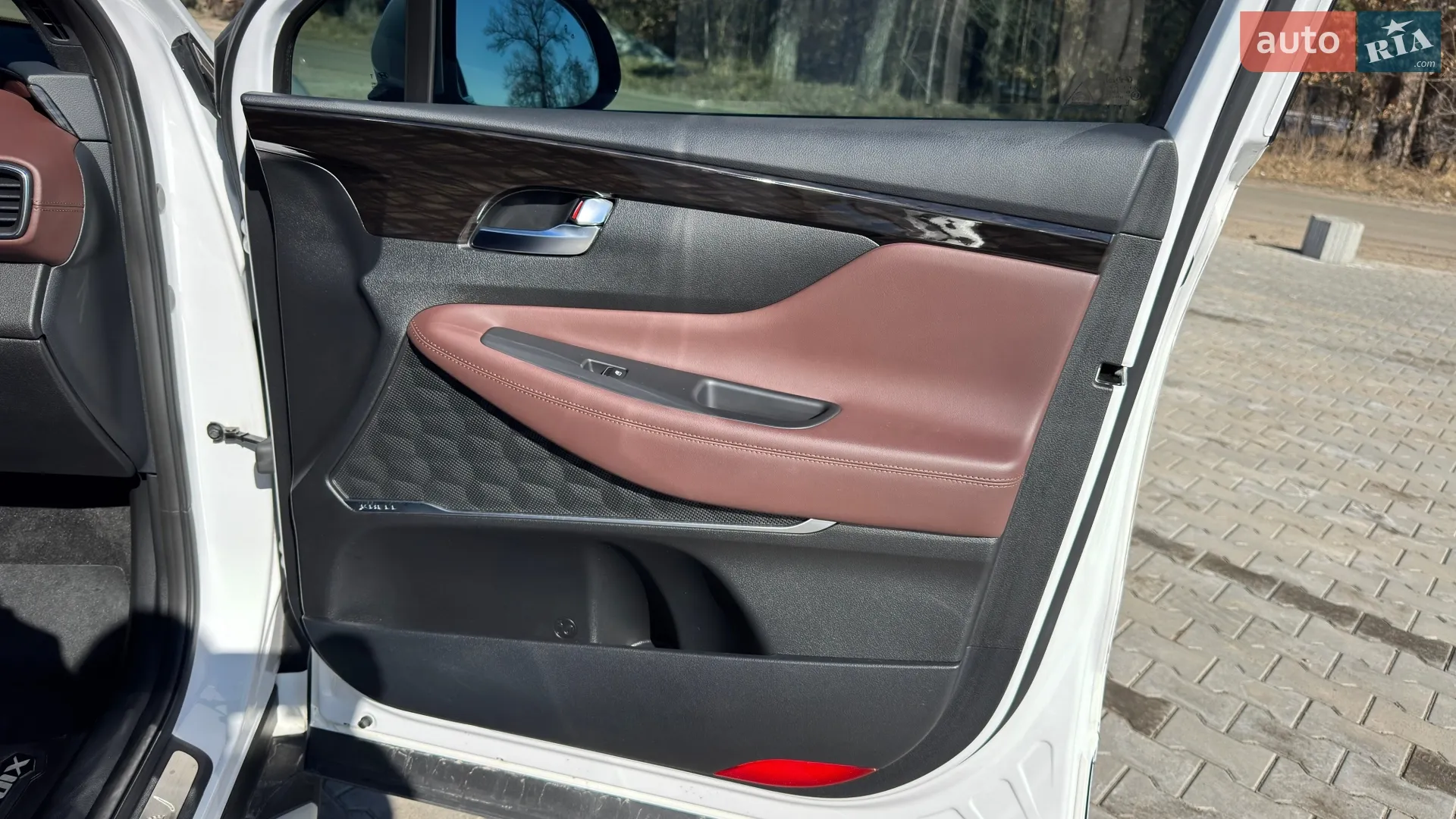 2019 Hyundai Santa Fe - мініатюра 36