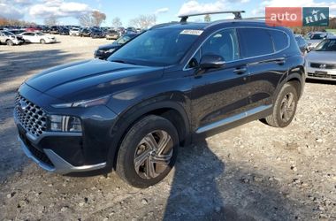 Внедорожник / Кроссовер Hyundai Santa FE 2021 в Киеве
