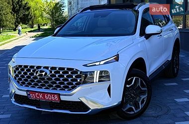 Внедорожник / Кроссовер Hyundai Santa FE 2023 в Трускавце
