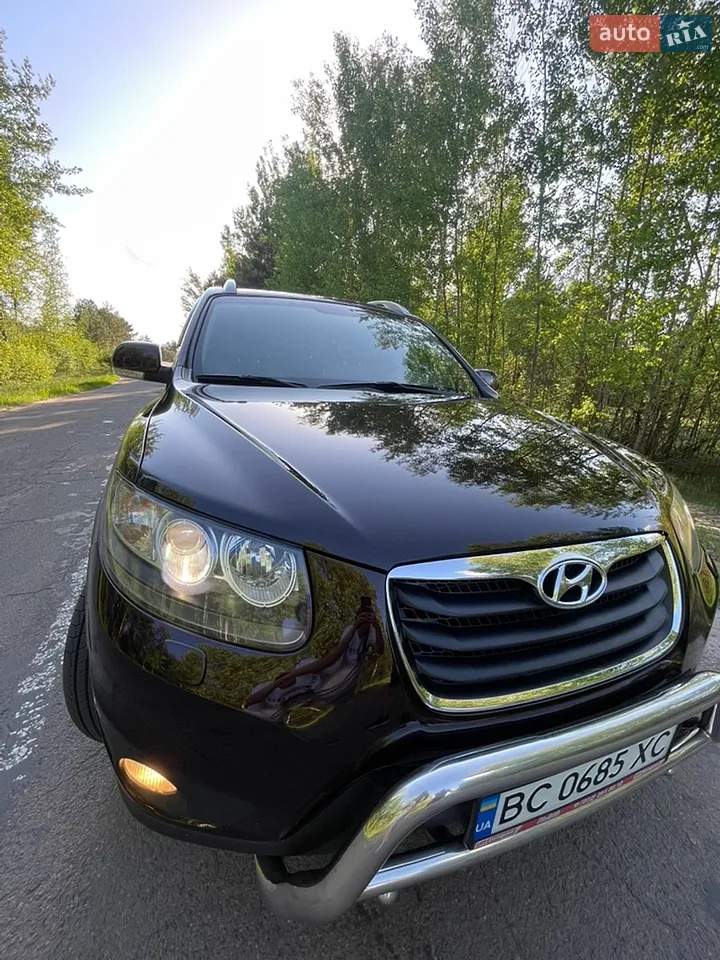 2010 Hyundai Santa Fe - мініатюра 18