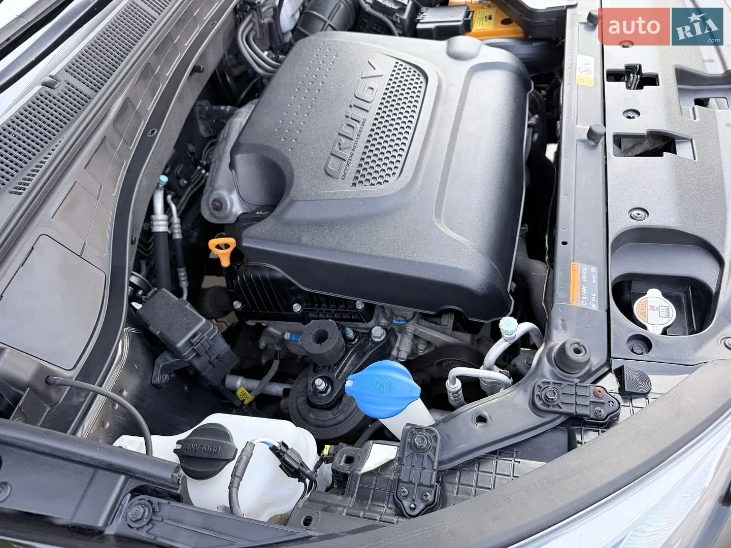 Hyundai Santa FE 2013 VIN KMHST81XDEU240839 фото оголошення 63 з 65