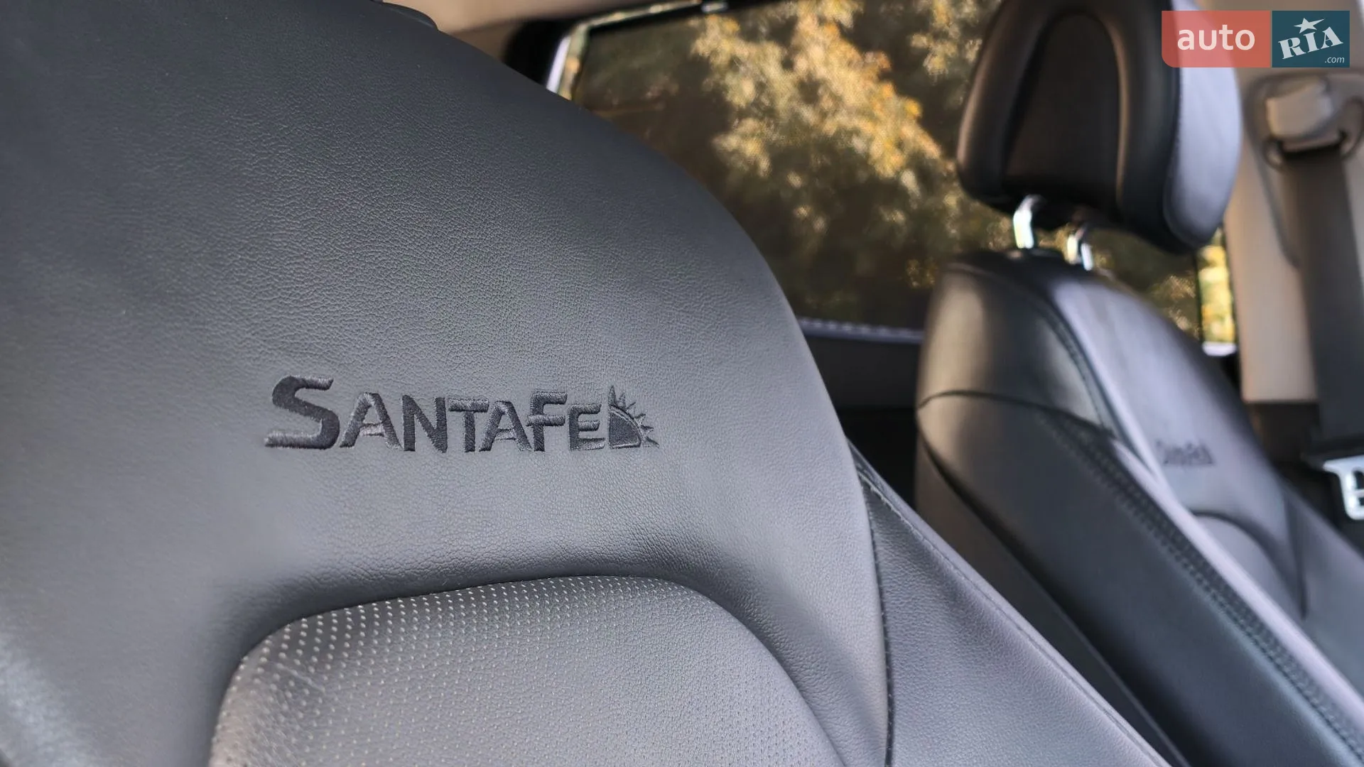 2016 Hyundai Santa Fe - мініатюра 78