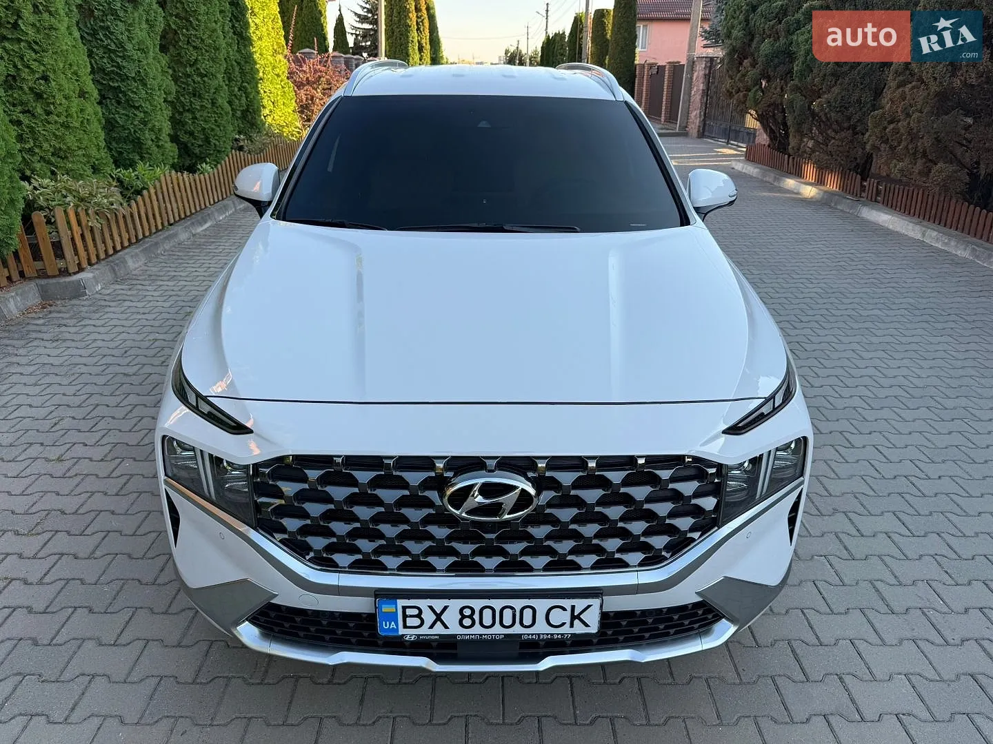 2021 Hyundai Santa Fe - мініатюра 16
