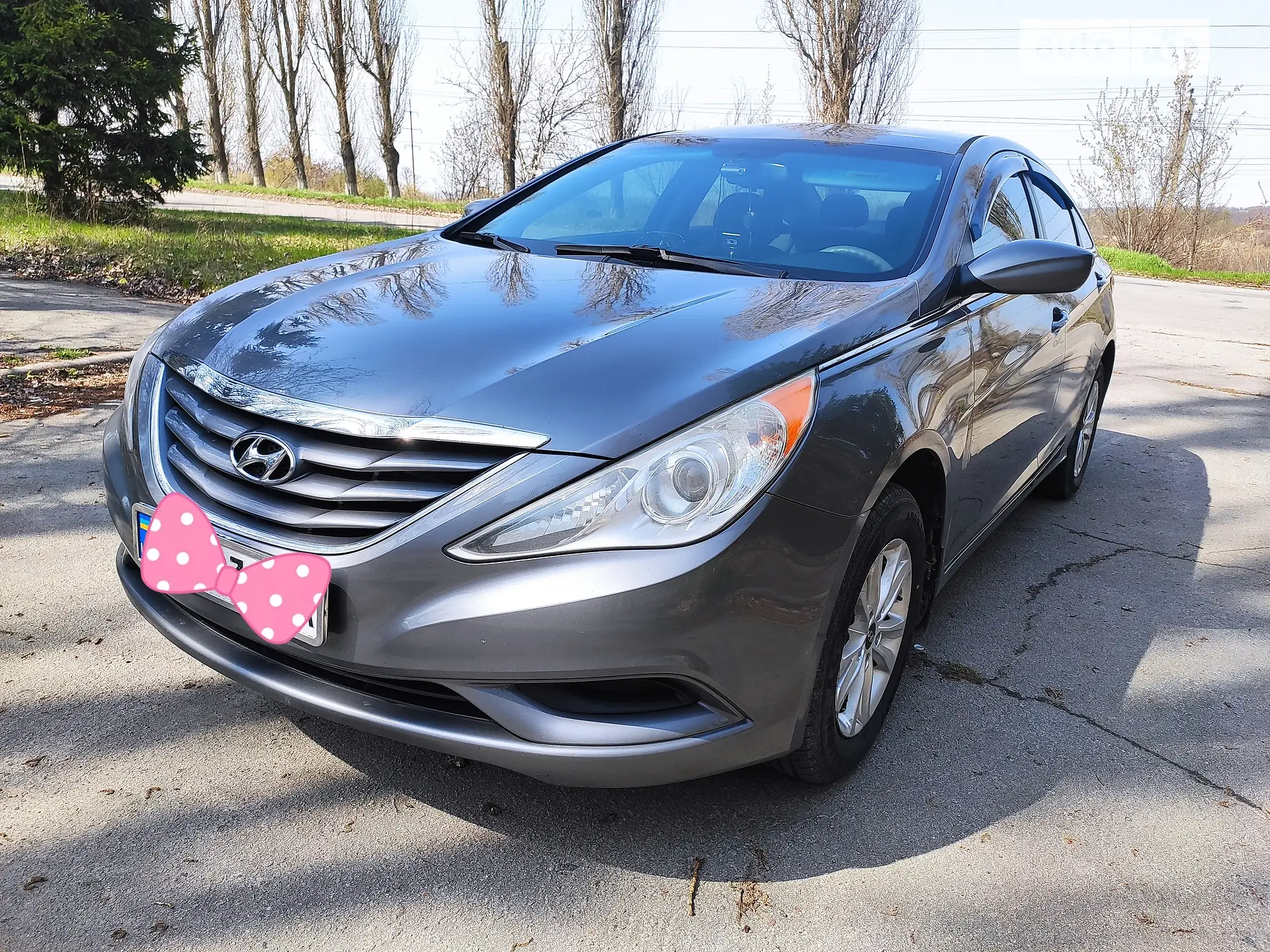 2013 Hyundai Sonata - мініатюра 10