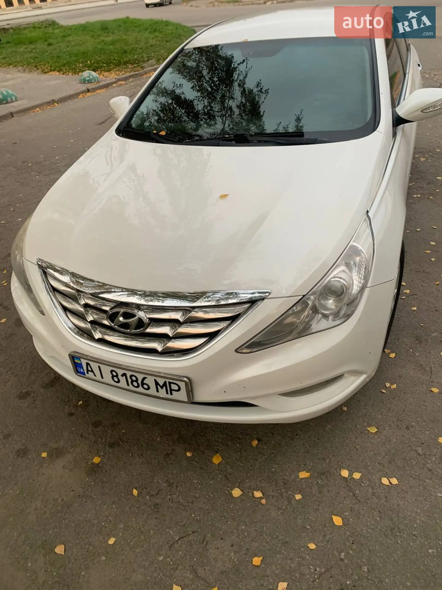2010 Hyundai Sonata - мініатюра 7