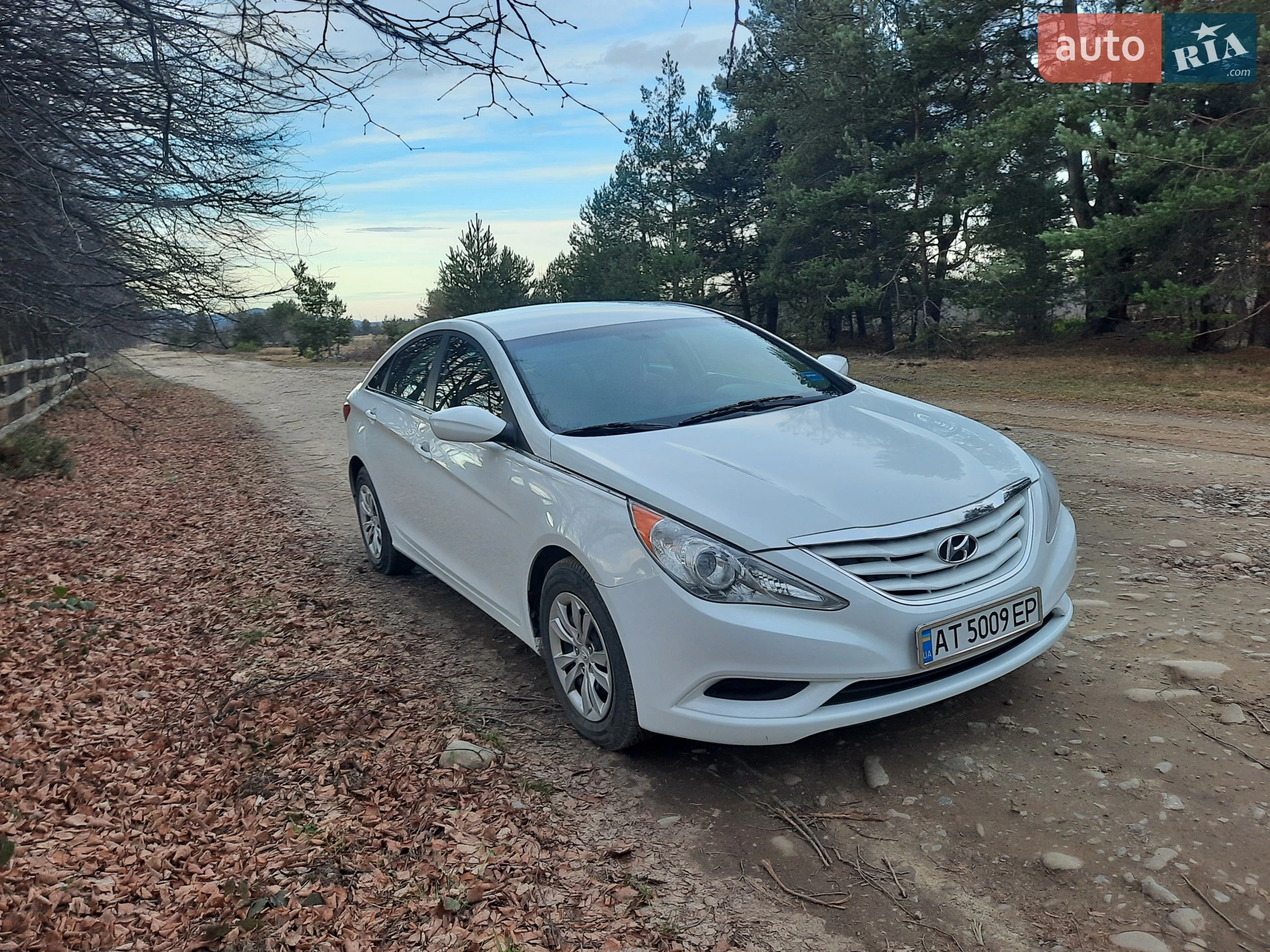 2010 Hyundai Sonata - мініатюра 5