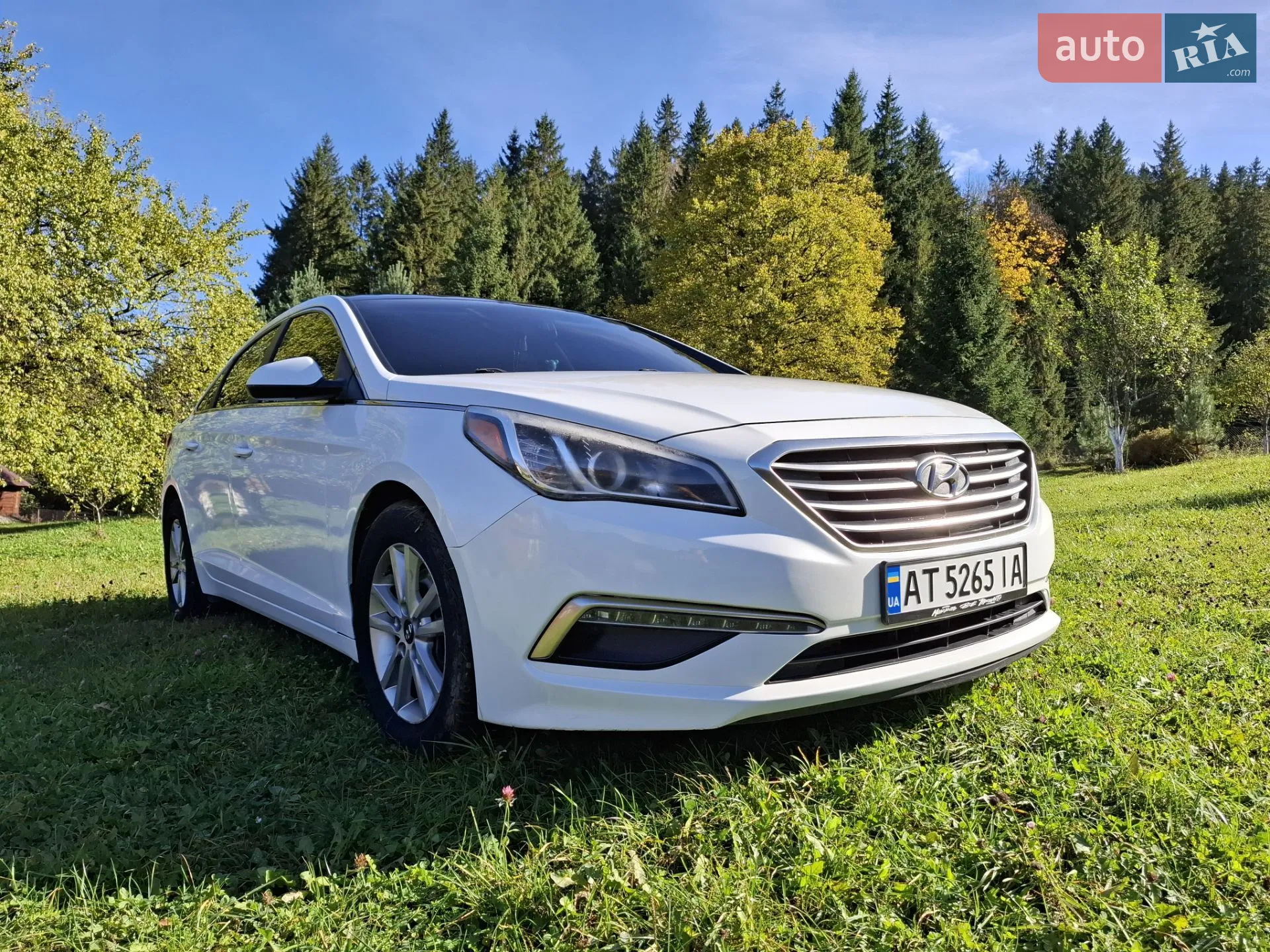 2014 Hyundai Sonata - мініатюра 13