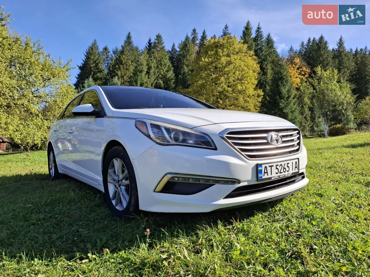 2013 Hyundai Sonata - мініатюра 26