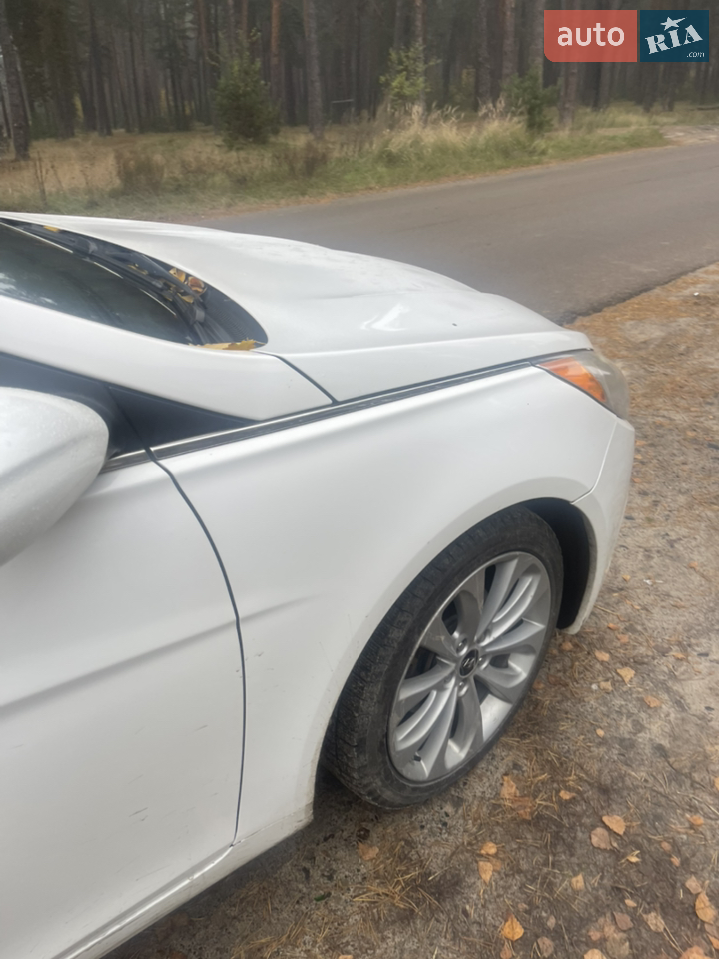2013 Hyundai Sonata - мініатюра 11