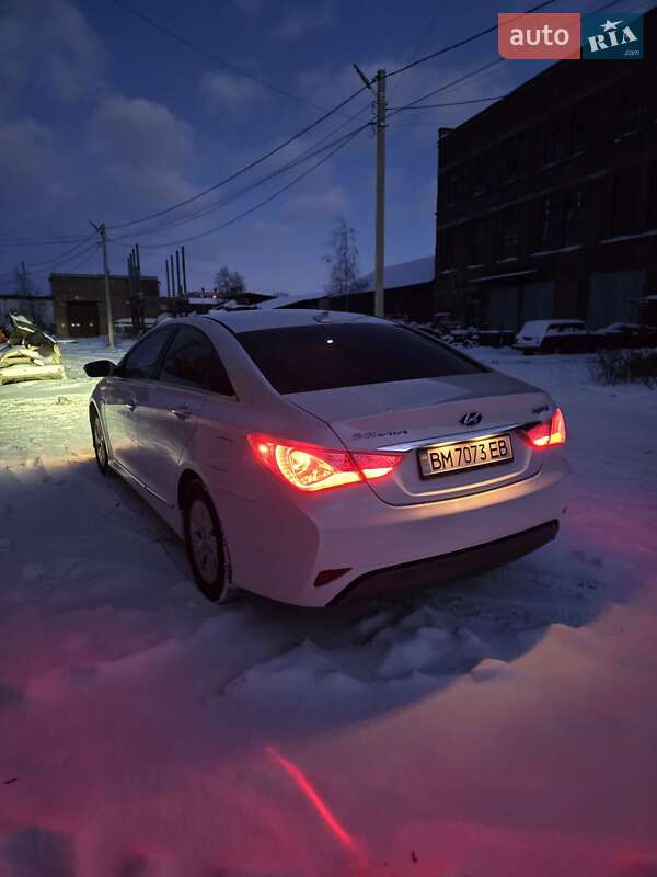 Hyundai Sonata 2013 Hyundai Sonata 2013