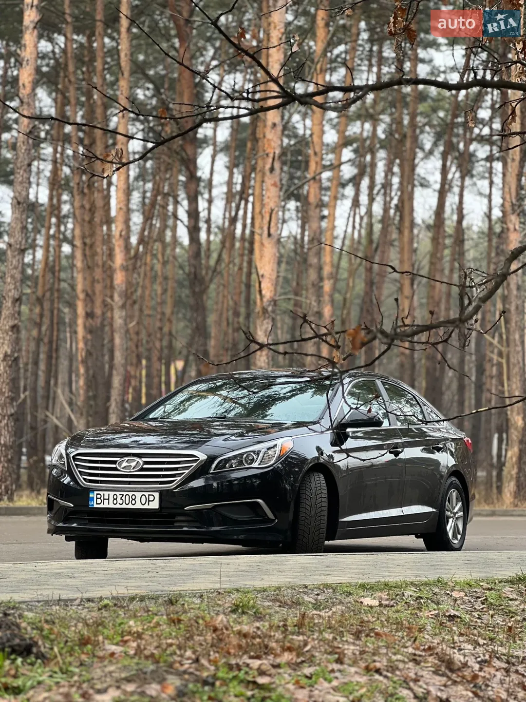 2016 Hyundai Sonata - мініатюра 6