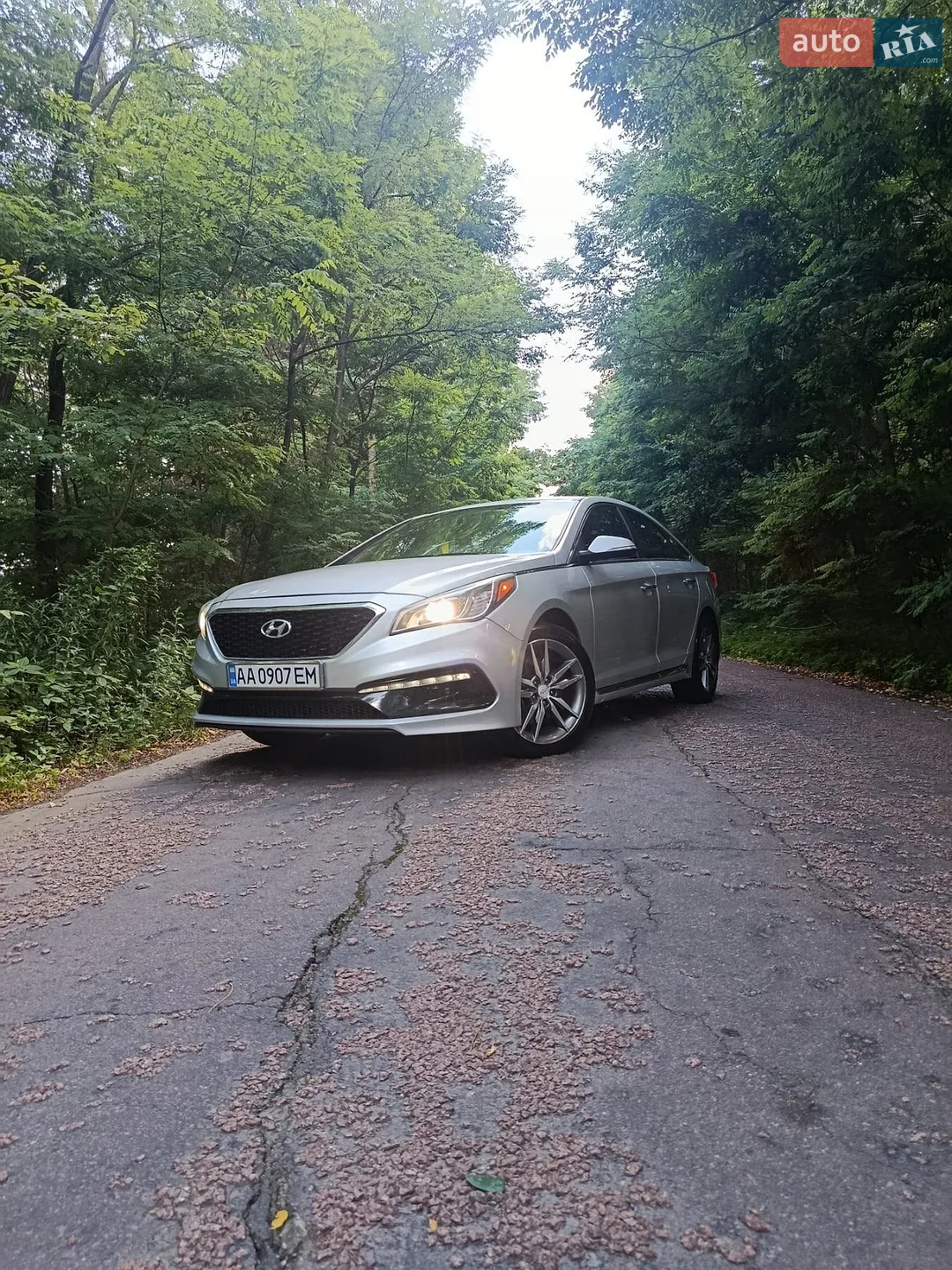 2015 Hyundai Sonata - мініатюра 2