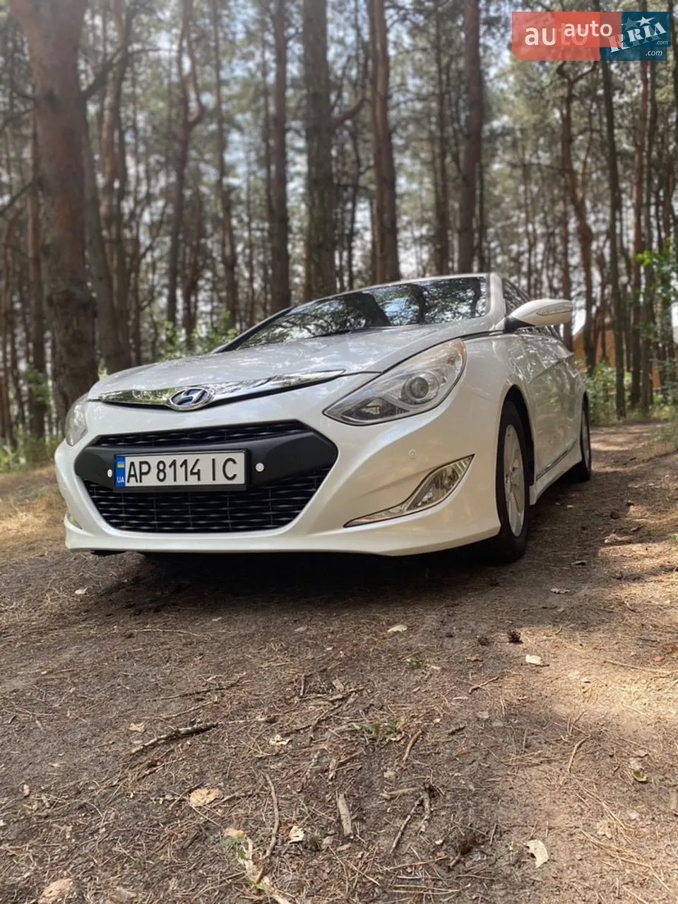 2013 Hyundai Sonata - мініатюра 13