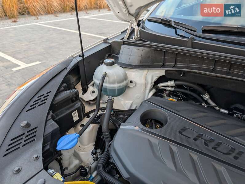 Внедорожник / Кроссовер Hyundai Tucson 2019 в Луцке фото 76 Внедорожник / Кроссовер Hyundai Tucson 2019 в Луцке