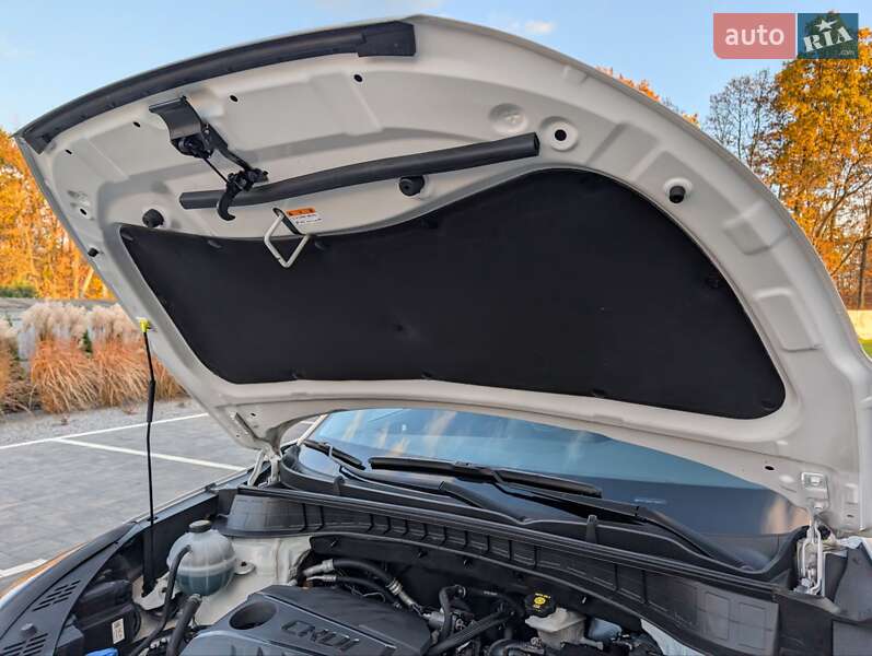 Внедорожник / Кроссовер Hyundai Tucson 2019 в Луцке фото 79 Внедорожник / Кроссовер Hyundai Tucson 2019 в Луцке