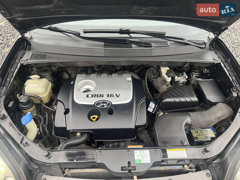 Внедорожник / Кроссовер Hyundai Tucson 2005 в Хмельницком фото 52 Внедорожник / Кроссовер Hyundai Tucson 2005 в Хмельницком