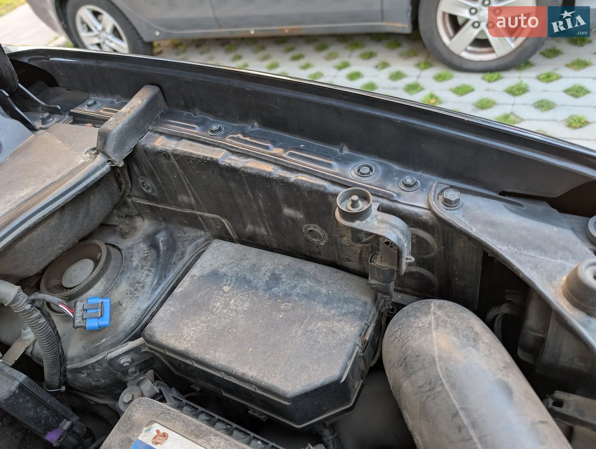 Hyundai Tucson 2008 VIN Y6LJN81BP8L200661 фото оголошення 36 з 42