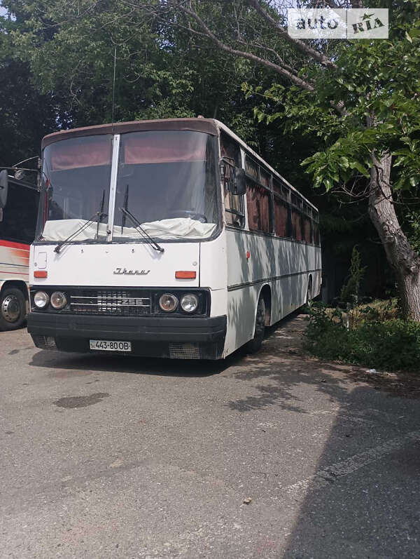 Туристический / Междугородний автобус Ikarus 256 1987 в Одессе