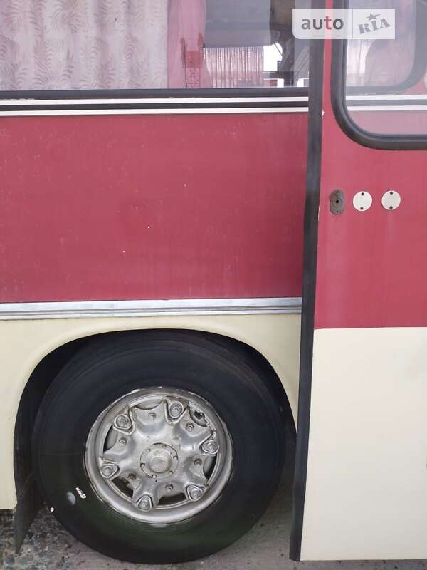Пригородный автобус Ikarus 256 1986 в Николаеве фото 7 Пригородный автобус Ikarus 256 1986 в Николаеве