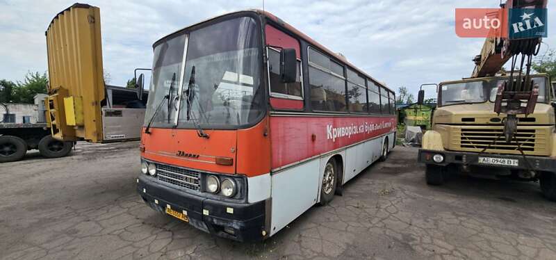 Туристический / Междугородний автобус Ikarus 256 1989 в Кривом Роге