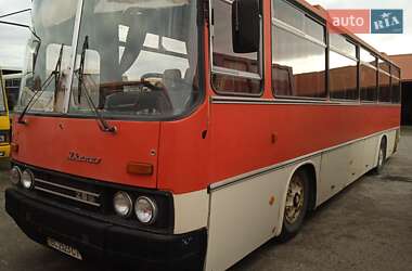 Туристический / Междугородний автобус Ikarus 256 1989 в Львове