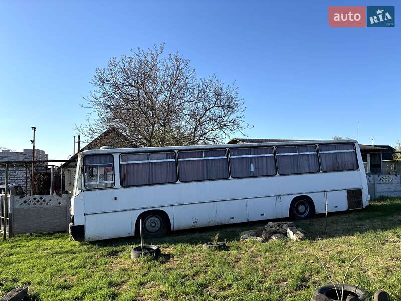 Туристичний / Міжміський автобус Ikarus 256 1987 в Одесі