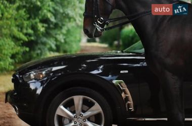 Позашляховик / Кросовер Infiniti FX 37 2011 в Хмельницькому