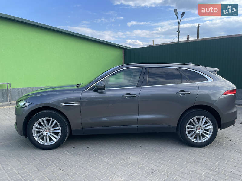 Внедорожник / Кроссовер Jaguar F-Pace 2017 в Новоднестровске
