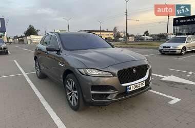 Позашляховик / Кросовер Jaguar F-Pace 2019 в Білій Церкві