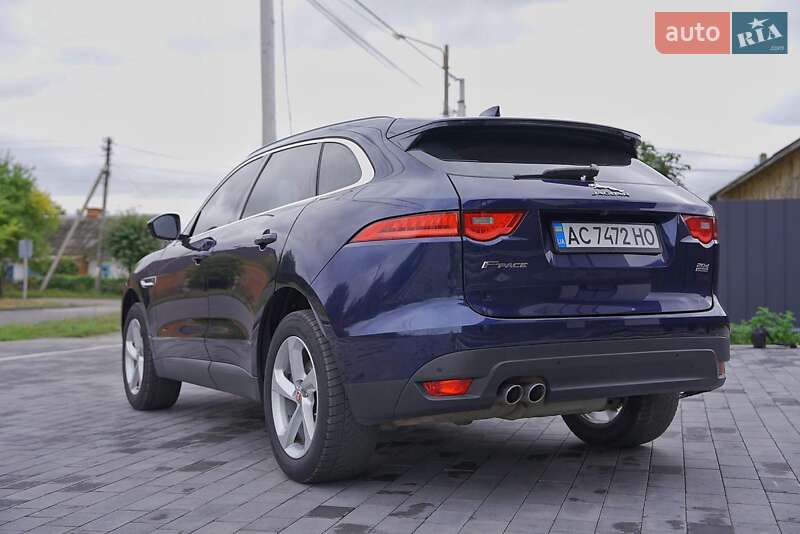 Позашляховик / Кросовер Jaguar F-Pace 2016 в Любомлі