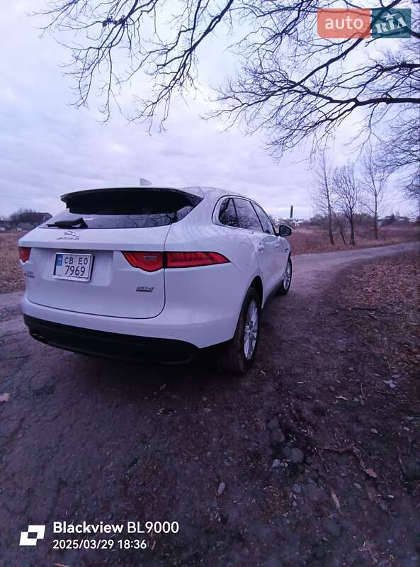 Позашляховик / Кросовер Jaguar F-Pace 2017 в Чернігові фото 21 Позашляховик / Кросовер Jaguar F-Pace 2017 в Чернігові