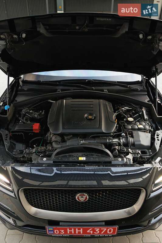 Внедорожник / Кроссовер Jaguar F-Pace 2017 в Киеве