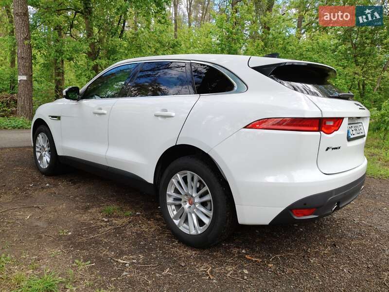 Внедорожник / Кроссовер Jaguar F-Pace 2019 в Киеве