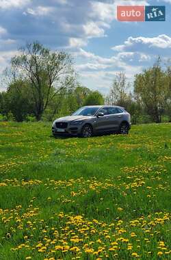jaguar f-pace 2016 в Киев от про продавца Ганна jaguar f-pace 2016 в Киев от профессионального продавца Ганна