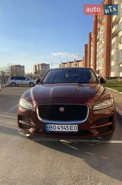 Внедорожник / Кроссовер Jaguar F-Pace 2016 в Тернополе