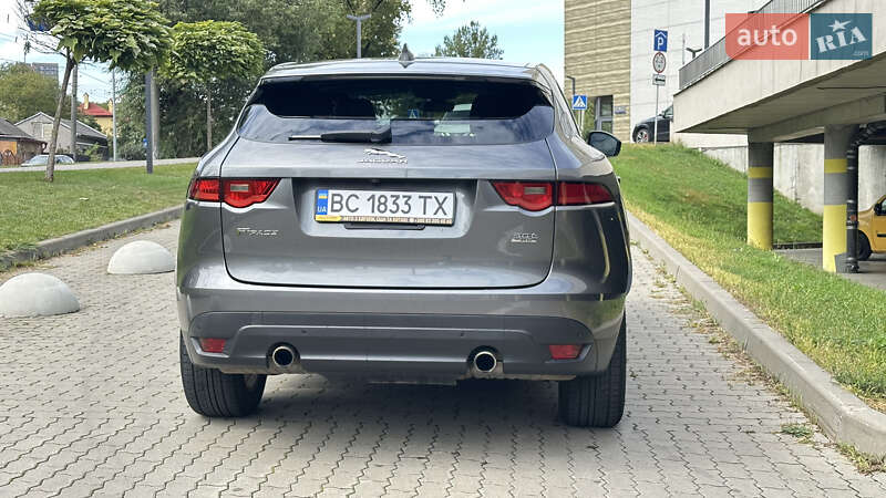 Позашляховик / Кросовер Jaguar F-Pace 2019 в Львові